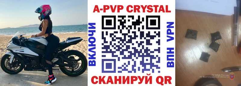 A PVP СК КРИС  Кизилюрт 
