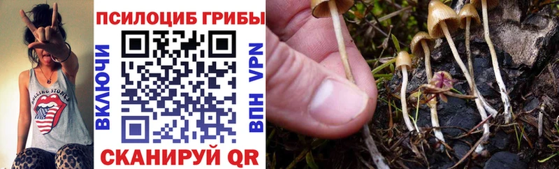 МЕГА ссылка  Кизилюрт  Псилоцибиновые грибы Psilocybe 