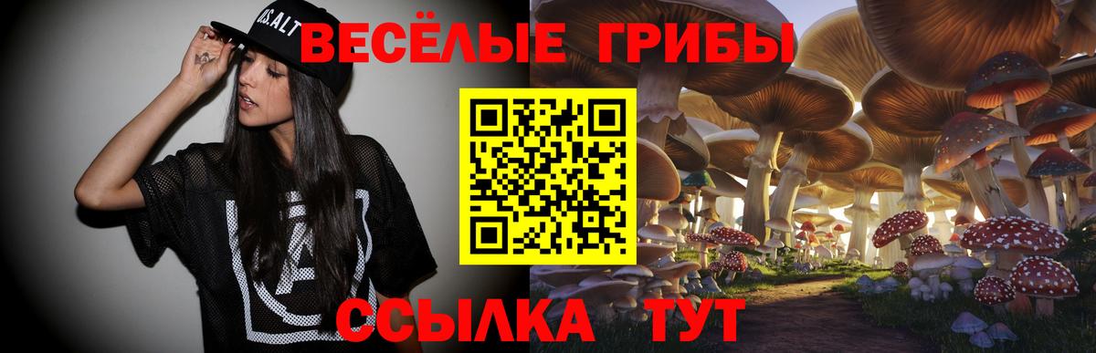 Кизилюрт  Псилоцибиновые грибы Psilocybe  Вход с VPN 
